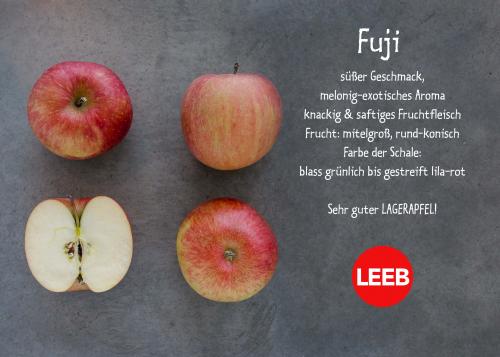 Äpfel