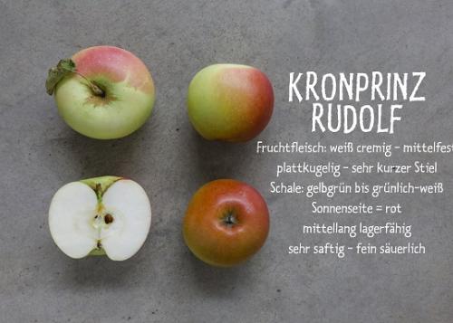 Kronprinz Rudolf