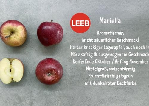Mariella Äpfel