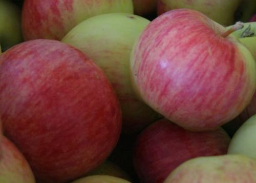 sommerapfel