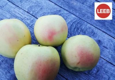 Golden Delicious