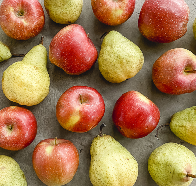 erntefrische Äpfel