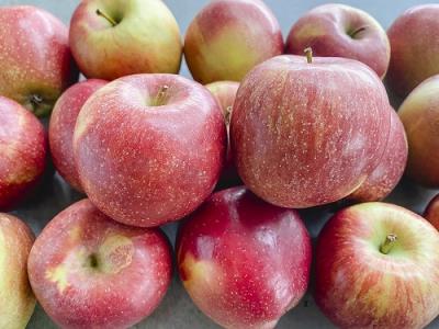 apfel