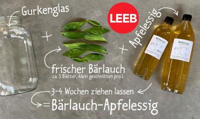 Bärlauch