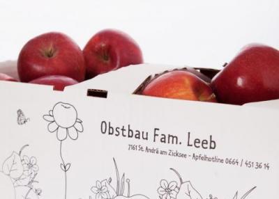 Gala Äpfel erntefrisch