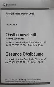 Pflanzenpflege