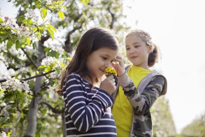 Kinder Natur Garten