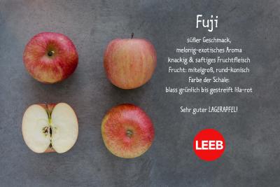Äpfel