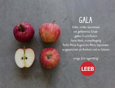 erntefrisch Äpfel