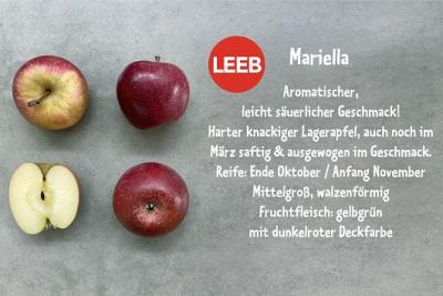 Apfel frisch knackig