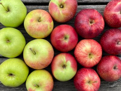 Äpfel frisch