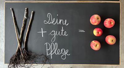 Apfelbäume