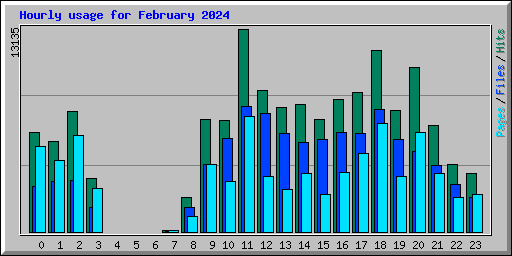 Hourly usage for February 2024